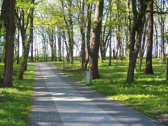 Spacery po plaży